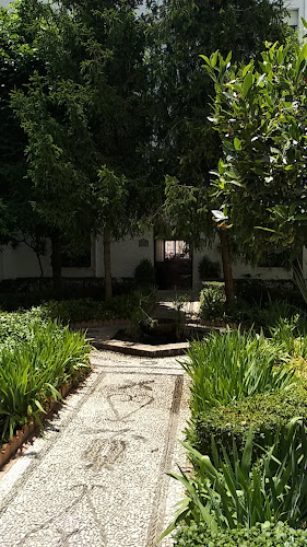 CEIP Andrés Segovia-empresa-de-granada