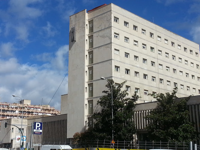 Colegio Mayor Montaigne-empresa-de-granada