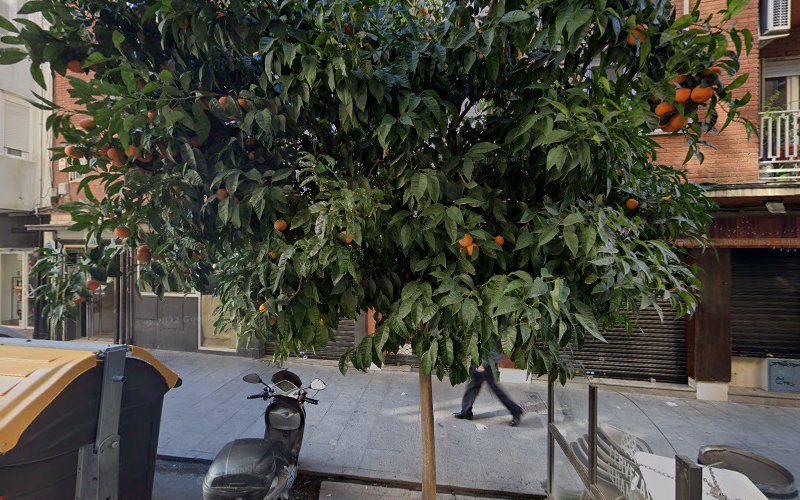 Domech Abogados Estudio Jurídico-empresa-de-granada