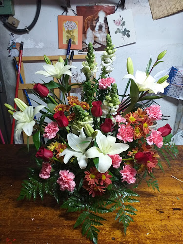 Floristería Bandurria-empresa-de-granada