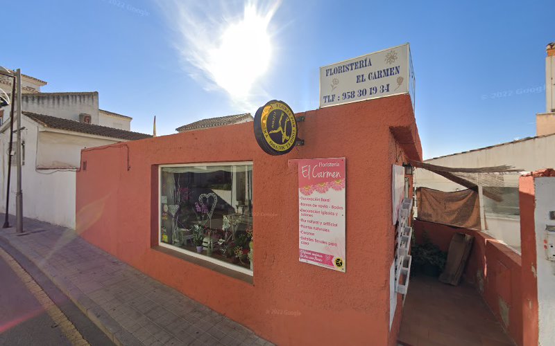 Floristería El Carmen-empresa-de-granada