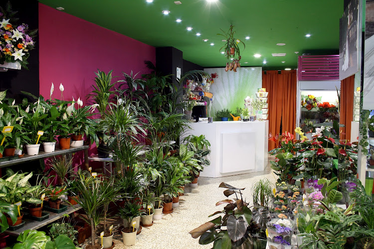 Floristería Leyva-empresa-de-granada