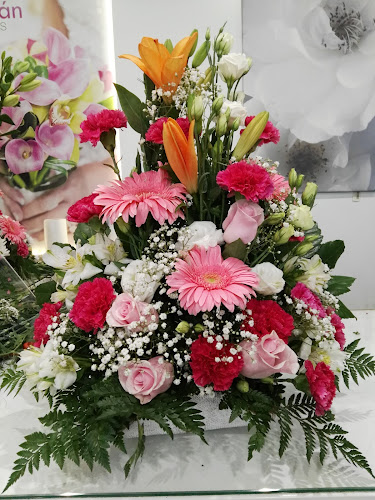 Guzmán Floristas-empresa-de-granada