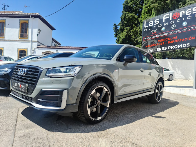 LAS FLORES AUTOMOCION (Talleres Las Flores)-empresa-de-granada