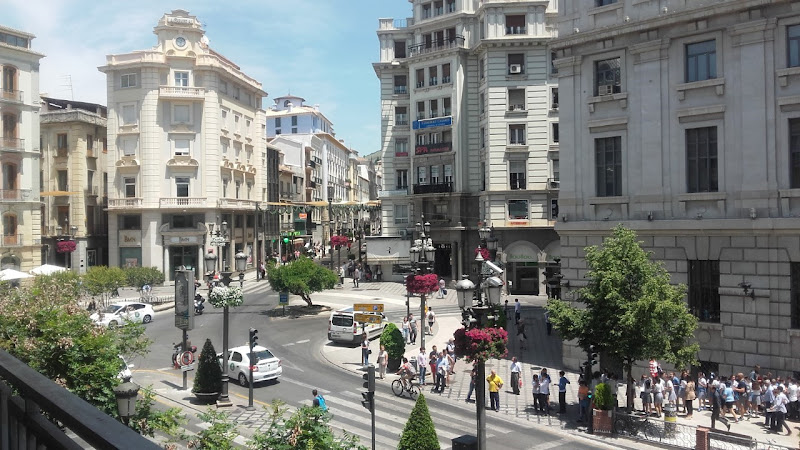 M. Carmen Fernández Sánchez-empresa-de-granada