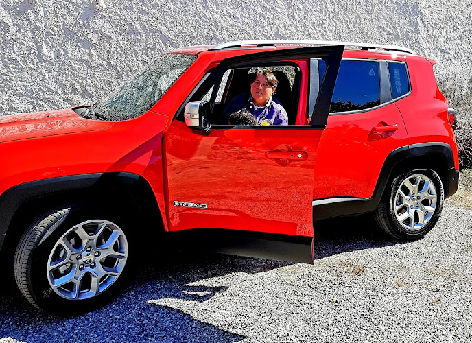 Motordos Concesionario-empresa-de-granada